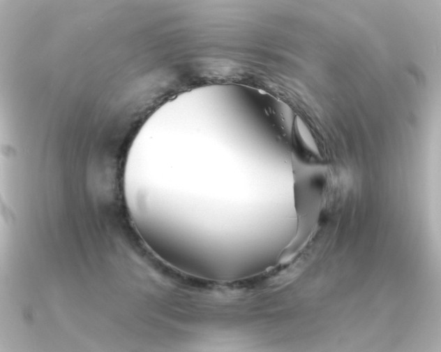 X0000090720416200708101557