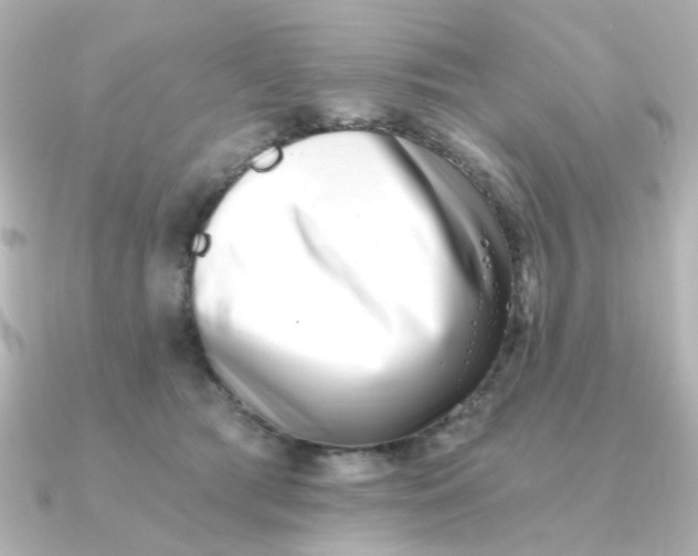 X0000090720417200708101557