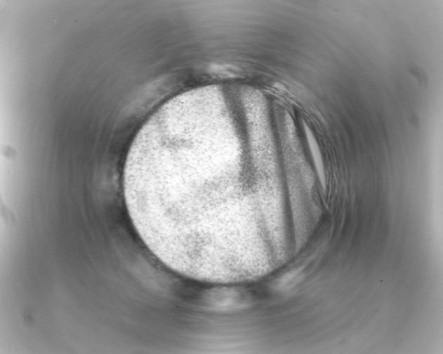 X0000090720418200708101557