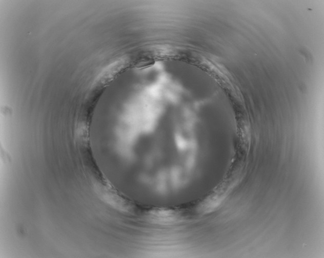 X0000090720419200708101557