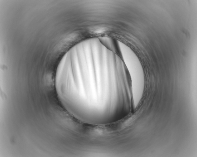 X0000090720420200708101557