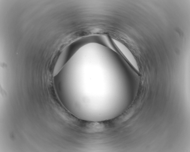 X0000090720421200708101557