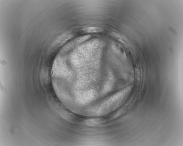 X0000090720422200708101557