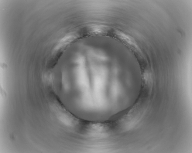 X0000090720423200708101557