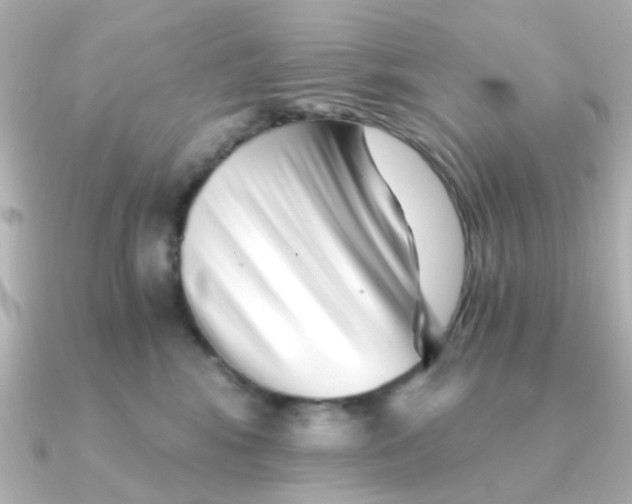 X0000090720424200708101557