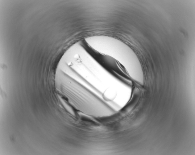 X0000090720425200708101557