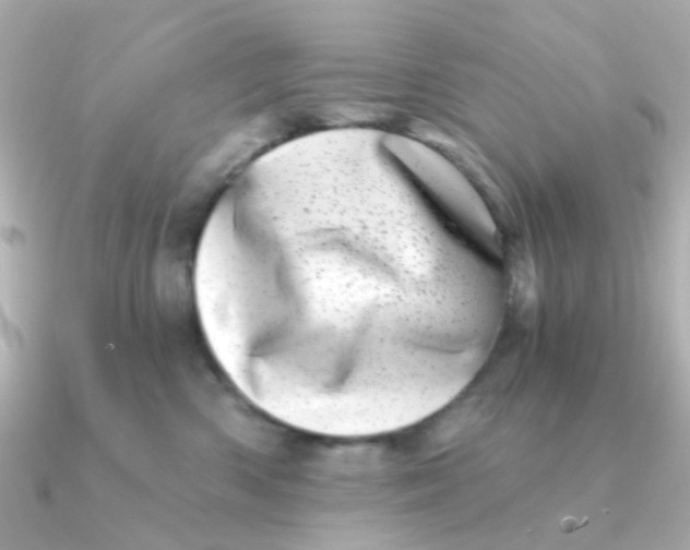 X0000090720426200708101557