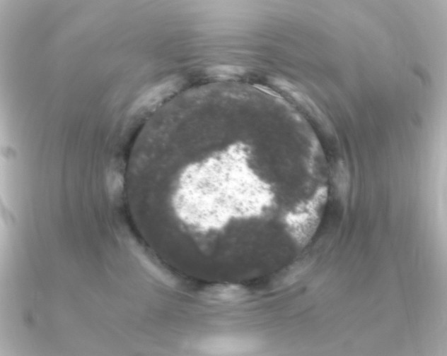 X0000090720427200708101557