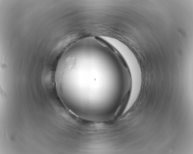 X0000090720428200708101557