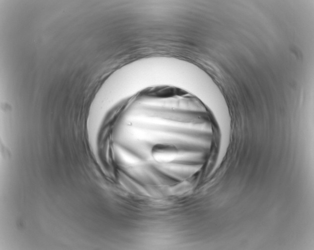 X0000090720429200708101557