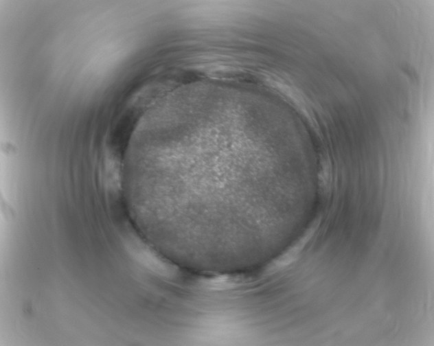 X0000090720430200708101557