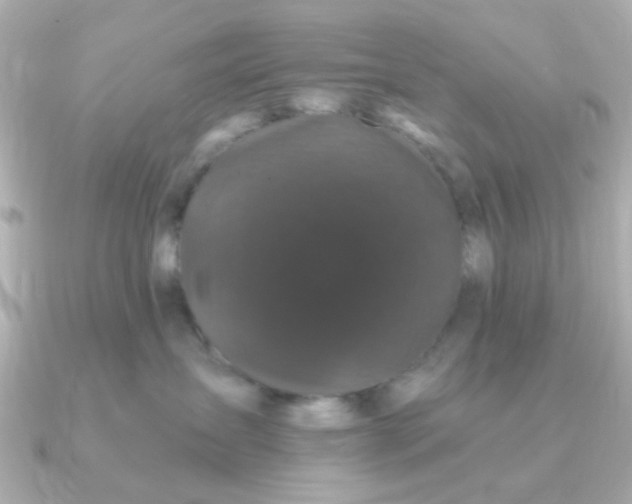 X0000090720431200708101557