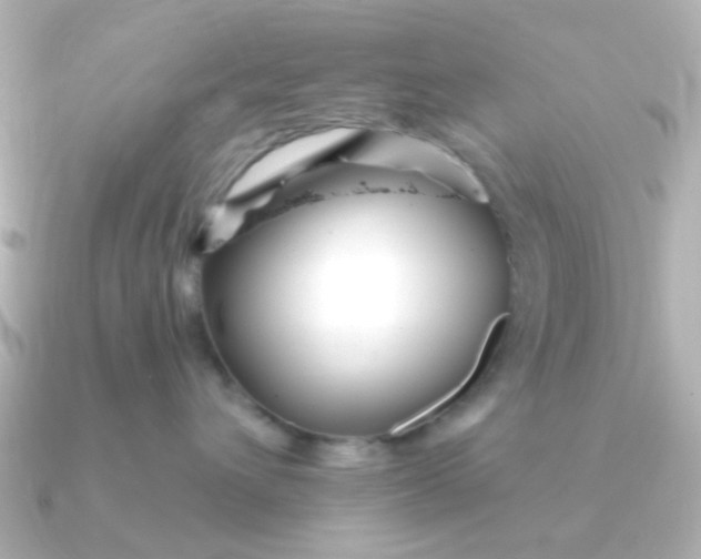 X0000090720432200708101557