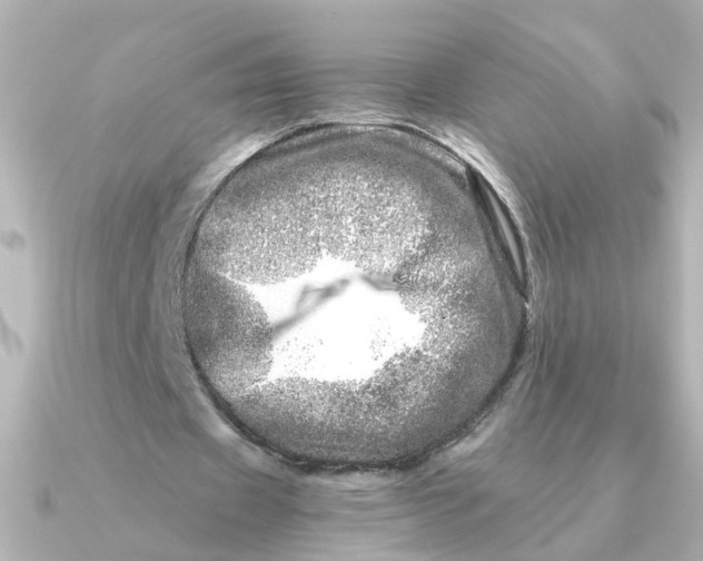 X0000090720433200708101556