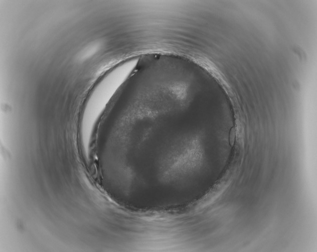 X0000090720434200708101556