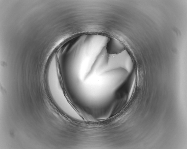 X0000090720435200708101556