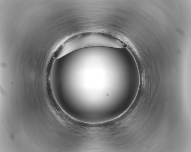 X0000090720436200708101556