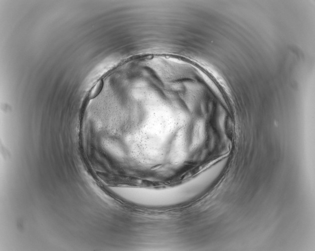 X0000090720437200708101556