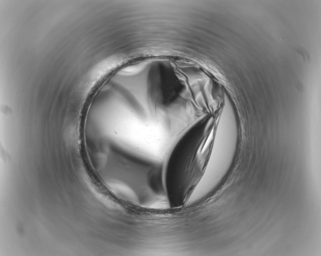 X0000090720438200708101556