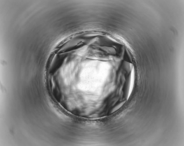 X0000090720439200708101556