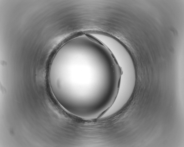 X0000090720440200708101556