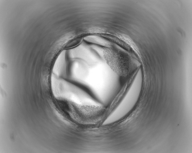 X0000090720441200708101556