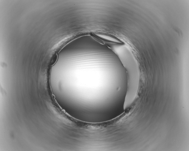 X0000090720442200708101556