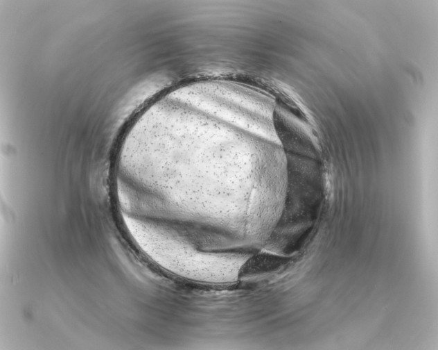 X0000090720443200708101556