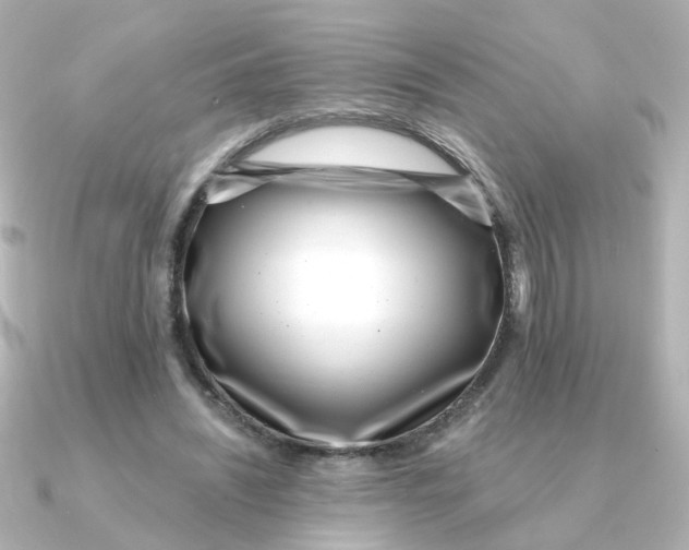 X0000090720444200708101556