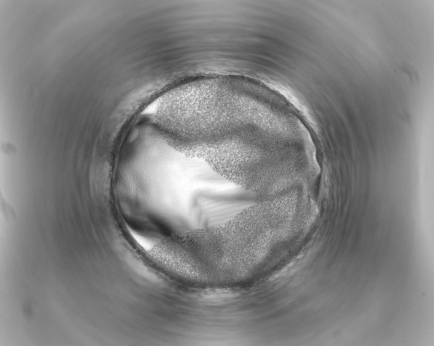 X0000090720445200708101556