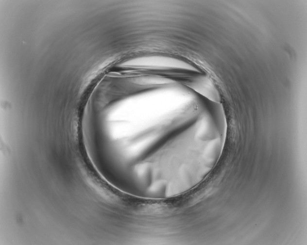 X0000090720446200708101556