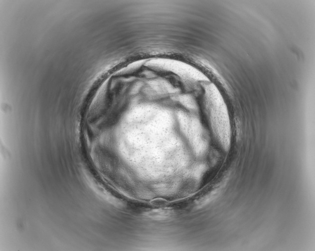 X0000090720447200708101556