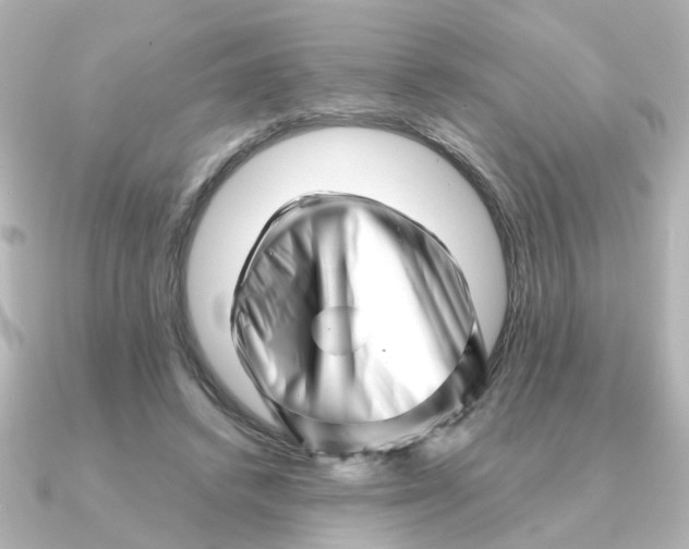 X0000090720448200708101556