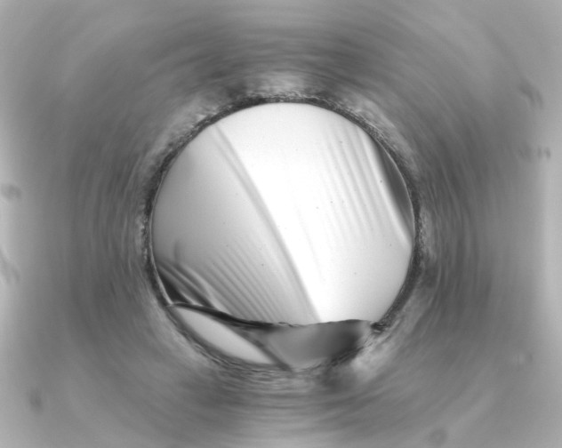 X0000090720449200708101556