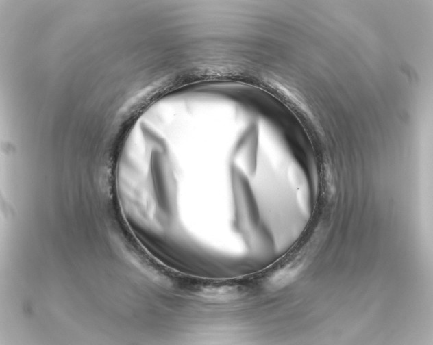 X0000090720450200708101556