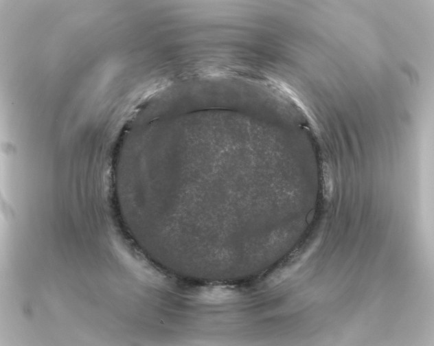 X0000090720451200708101556