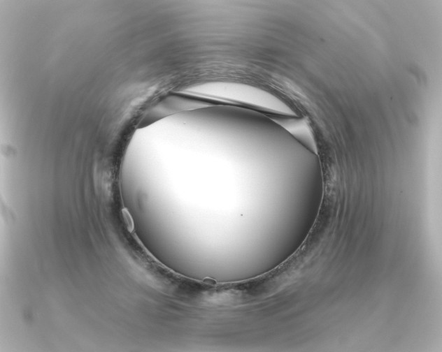 X0000090720452200708101556