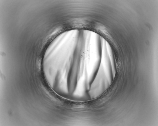 X0000090720454200708101556