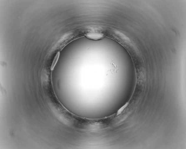 X0000090720456200708101556