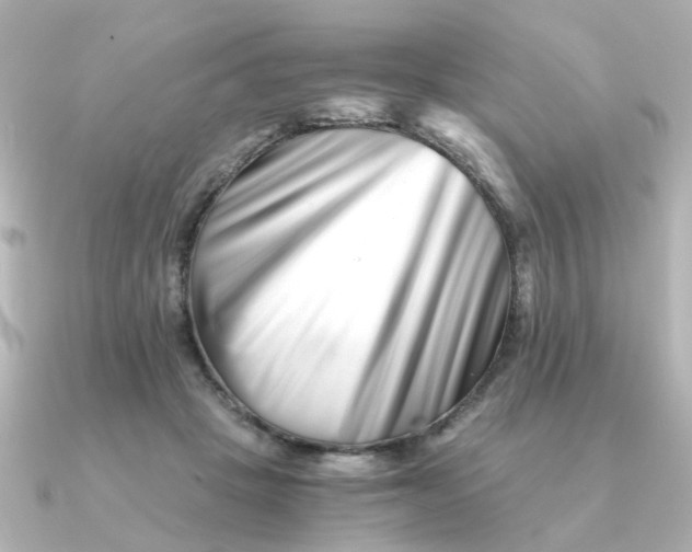 X0000090720457200708101556