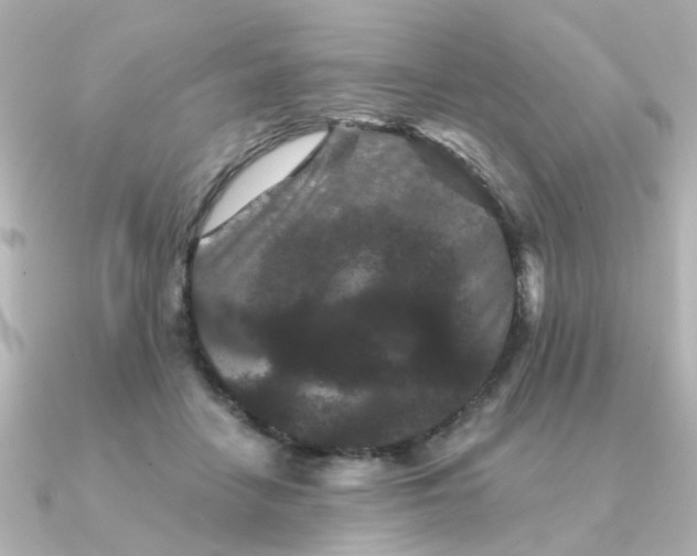 X0000090720458200708101556