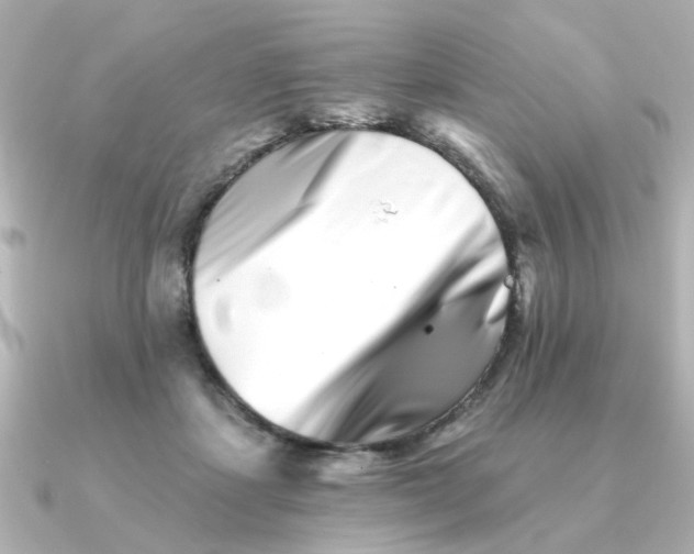 X0000090720459200708101557