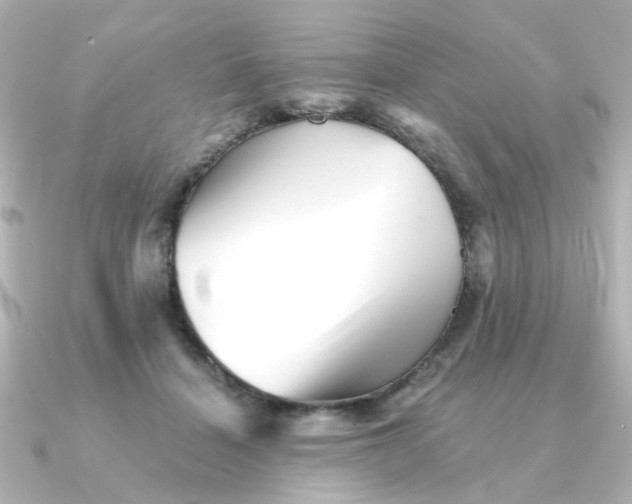 X0000090720460200708101557