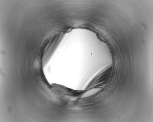 X0000090720461200708101557