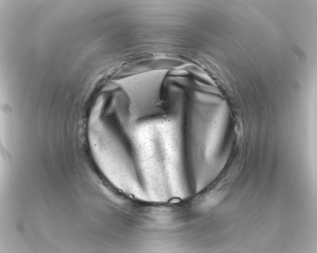 X0000090720462200708101557