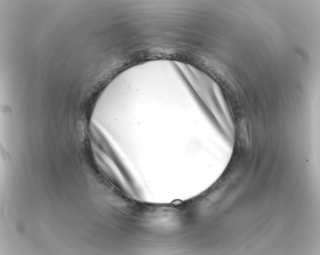 X0000090720463200708101557