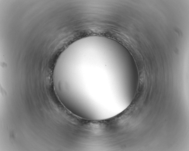 X0000090720464200708101557