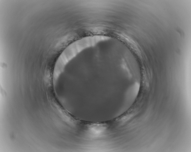 X0000090720465200708101557