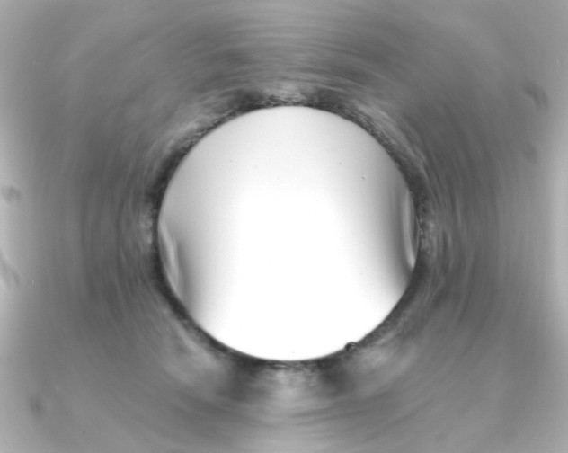 X0000090720466200708101557