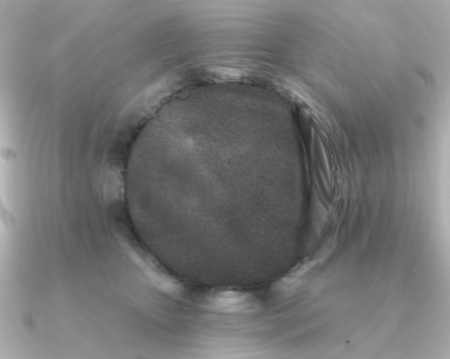 X0000090720467200708101557